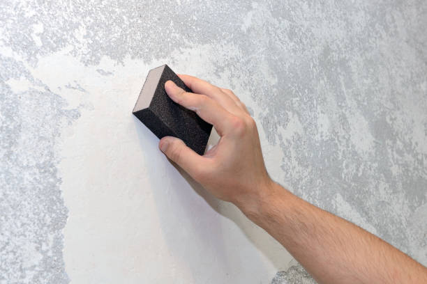  Alamo Heights, TX Mold Removal Pros