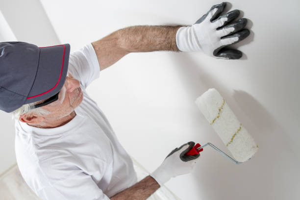 Environmental Consulting for Mold Prevention in Alamo Heights, TX