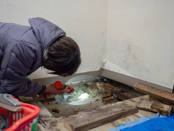 Mold Remediation for Rental Properties in Alamo Heights, TX