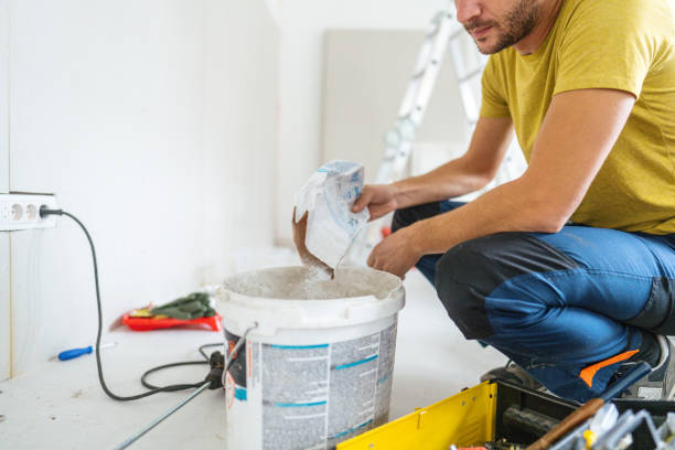 Trusted Alamo Heights, TX Mold Removal Experts