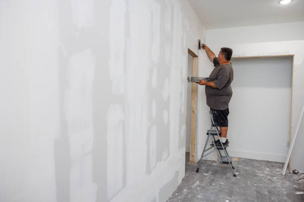 Best Post-Construction Mold Inspection  in Alamo Heights, TX
