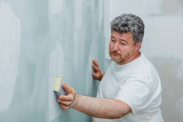 Best Real Estate Mold Inspection  in Alamo Heights, TX