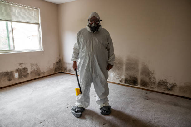 Best Forensic Mold Investigation  in Alamo Heights, TX