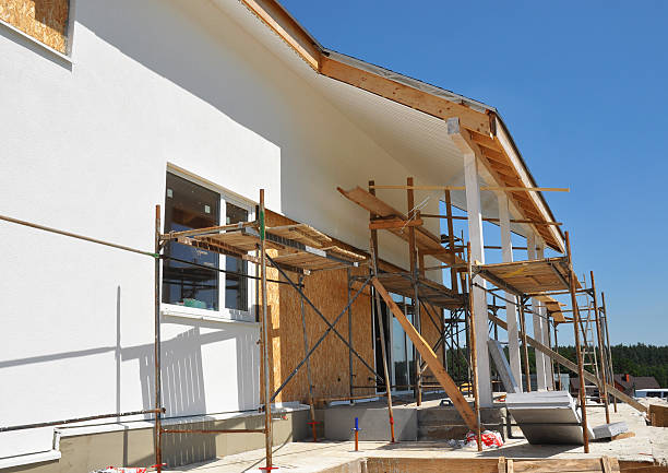 Best Environmental Consulting for Mold Prevention  in Alamo Heights, TX