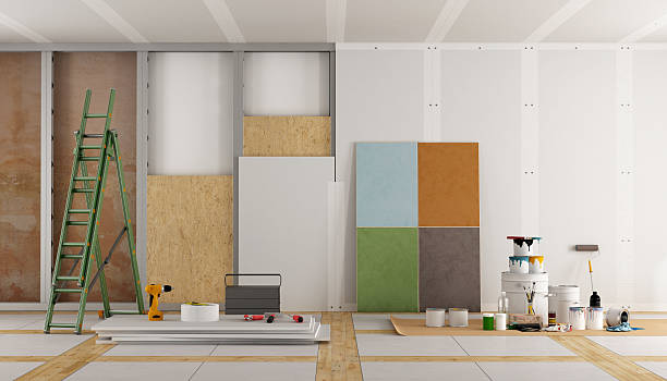 Best Basement Mold Removal  in Alamo Heights, TX